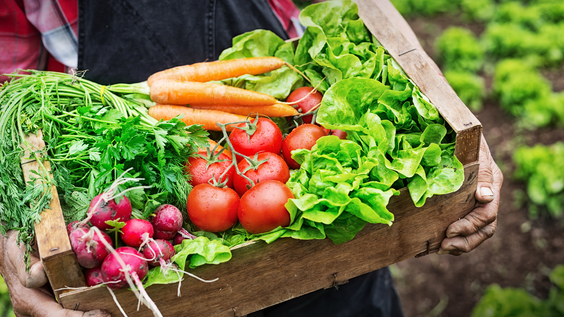 Organic Vs. Non-Organic: What's the Healthiest Choice?